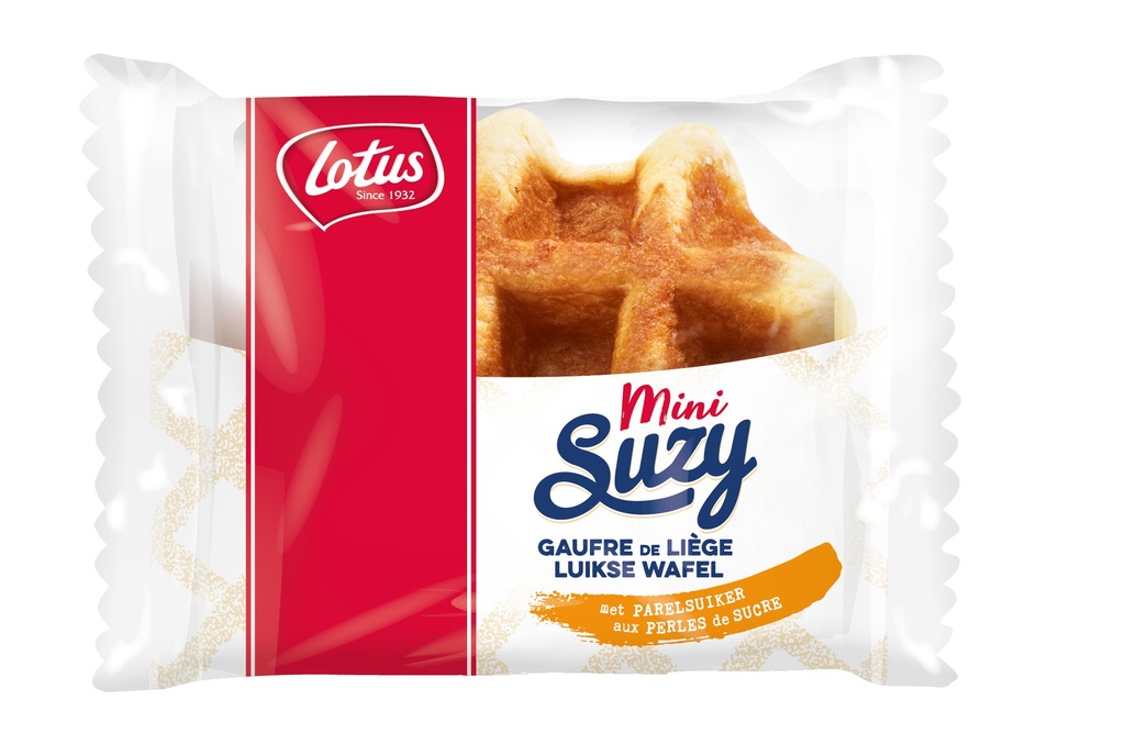 MINI WAFFLE LUIK - INDIVIDUAL-LOTUS 48X28,50 GRAMMES (1240)