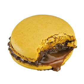 MACARONS CARAMEL AU BEURRE SALE (OP TE WARMEN)- 24X70GRAM  -18°C