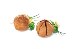 CUSTOMBALL FRITURE - VAN REUSEL 24X140 GRAM    -18°C